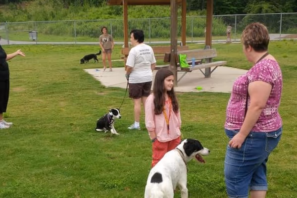 Mulberry Creek Park Dog Park photo 2